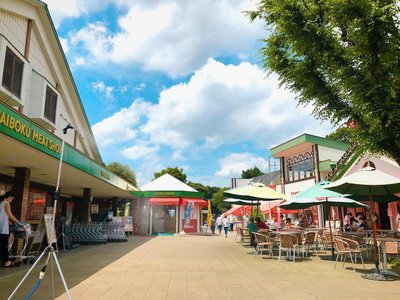 🐷 돼지 테마파크 사이보쿠 이미지 2